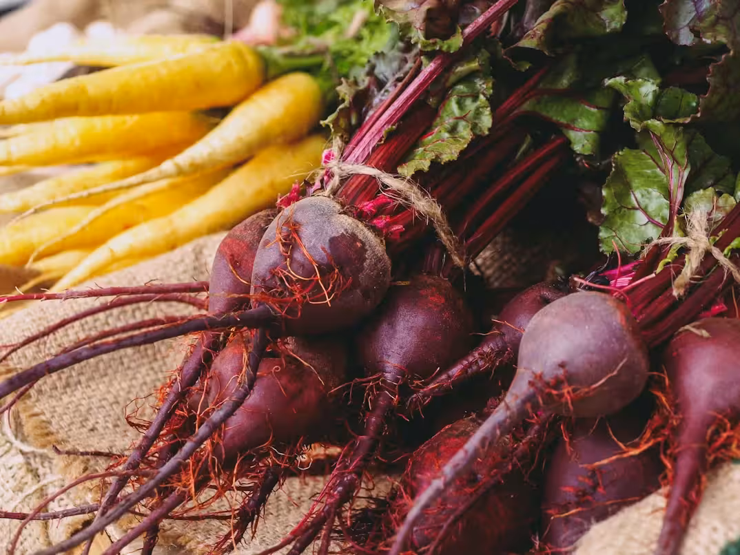 fresh beets